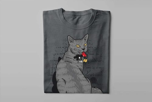 Cat and Mickey Mouse Gamma-Ray Graphic Design Men's Tee - charcoal - folded long